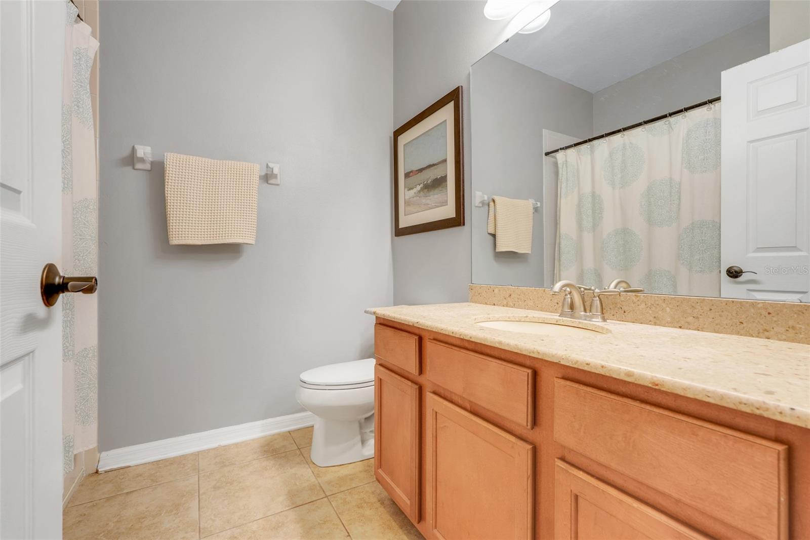 315 PEACOCK SPRINGS CT, GROVELAND, FL, 34736