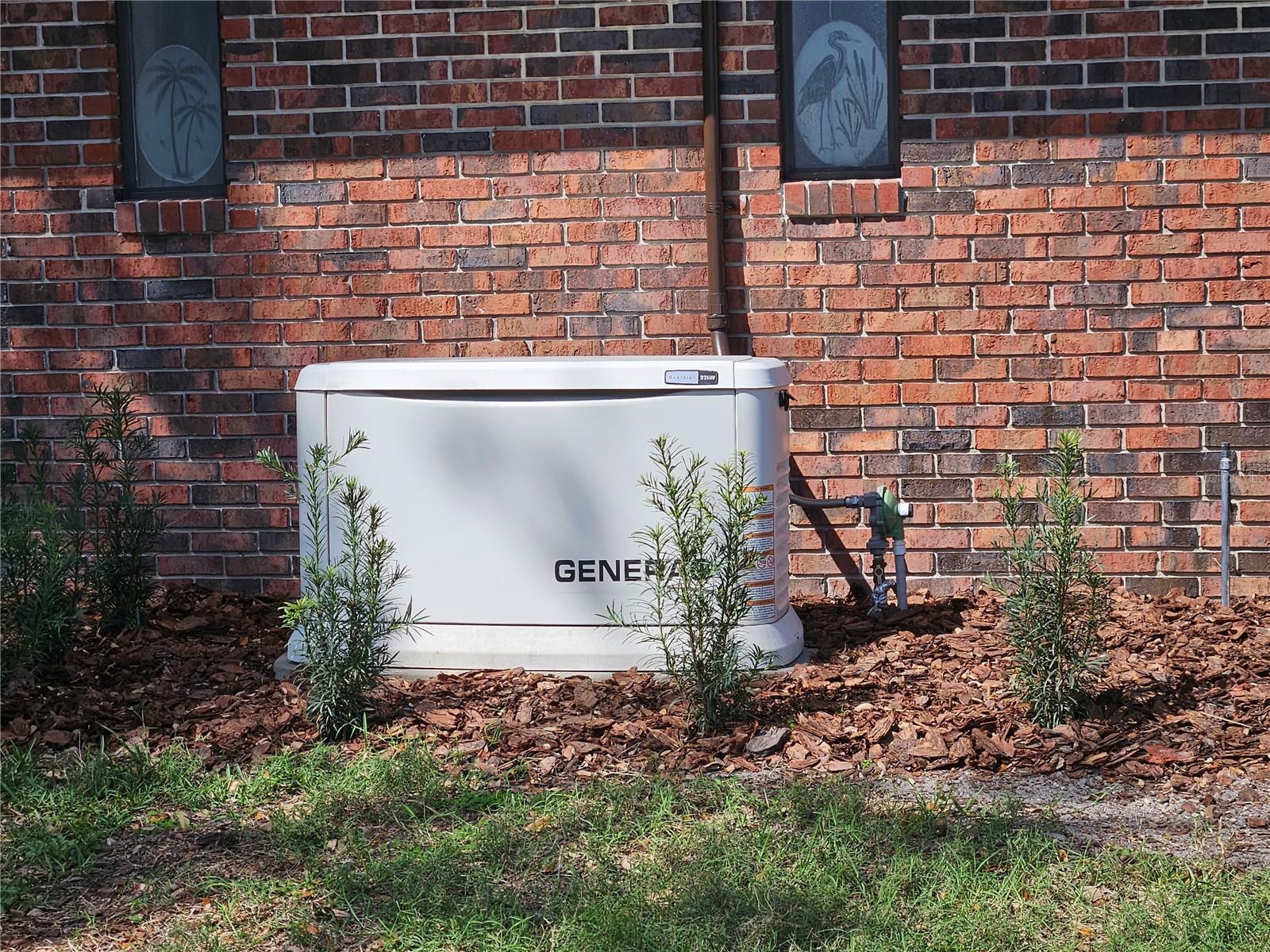 6533 BRENTWOOD DR, ZEPHYRHILLS, FL, 33542