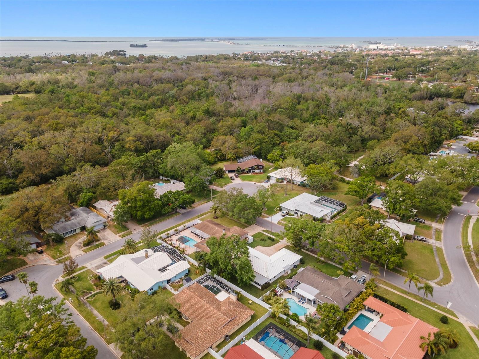 971 MCFARLAND ST, DUNEDIN, FL, 34698