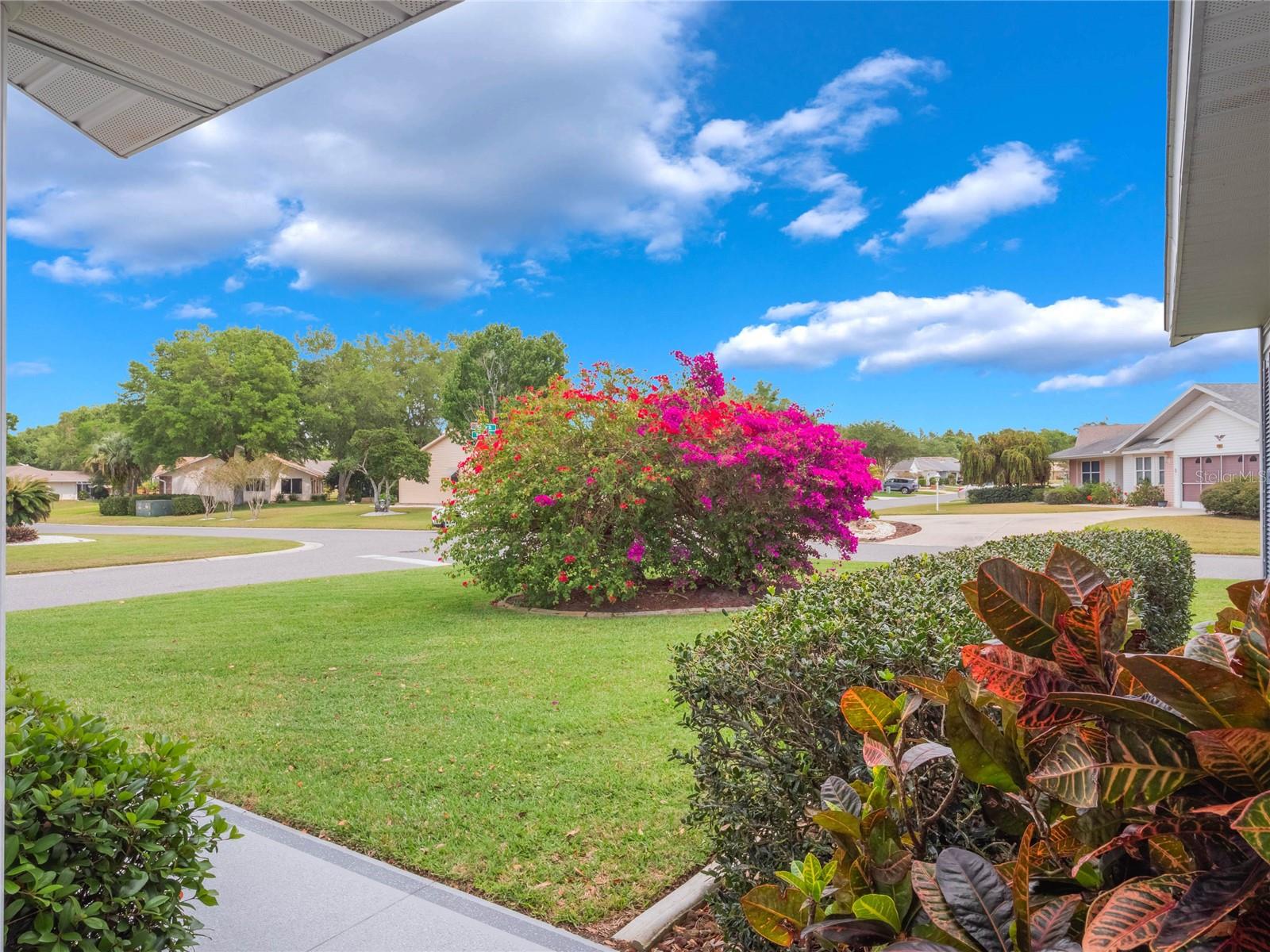 6450 WILANDER ST, LEESBURG, FL, 34748