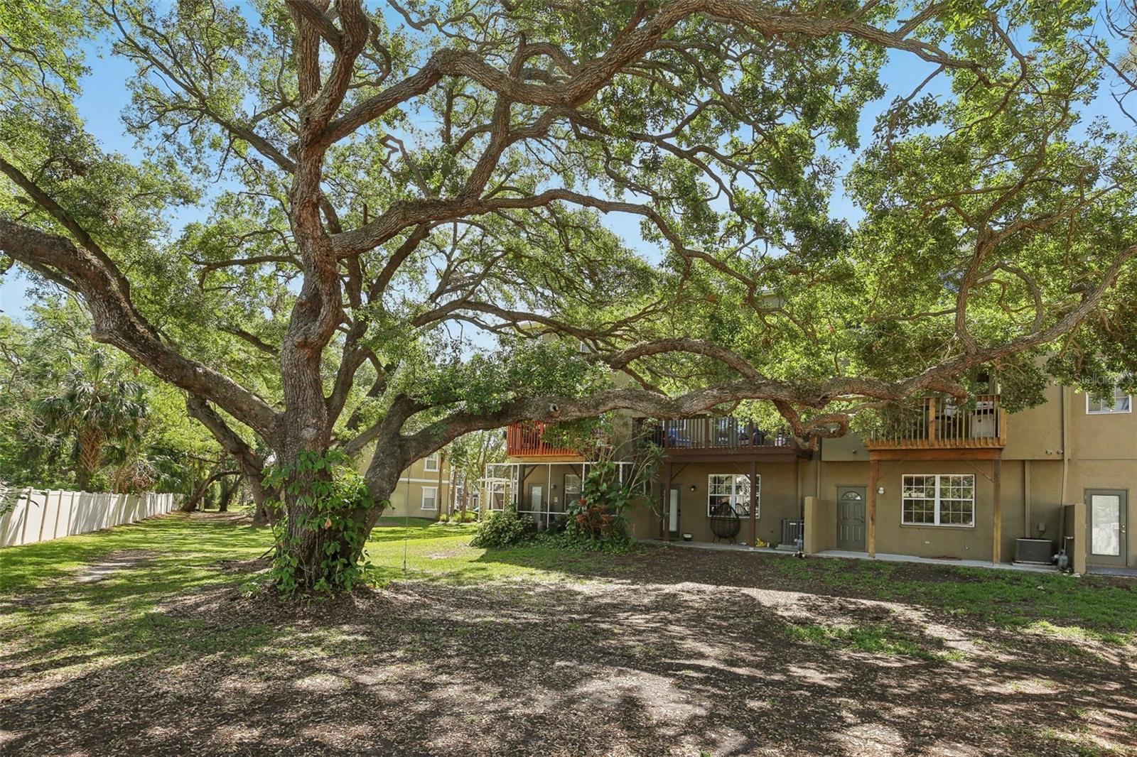 3005 BAYSHORE POINTE DR, TAMPA, FL, 33611