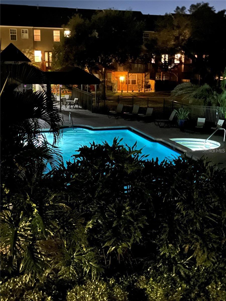 3005 BAYSHORE POINTE DR, TAMPA, FL, 33611