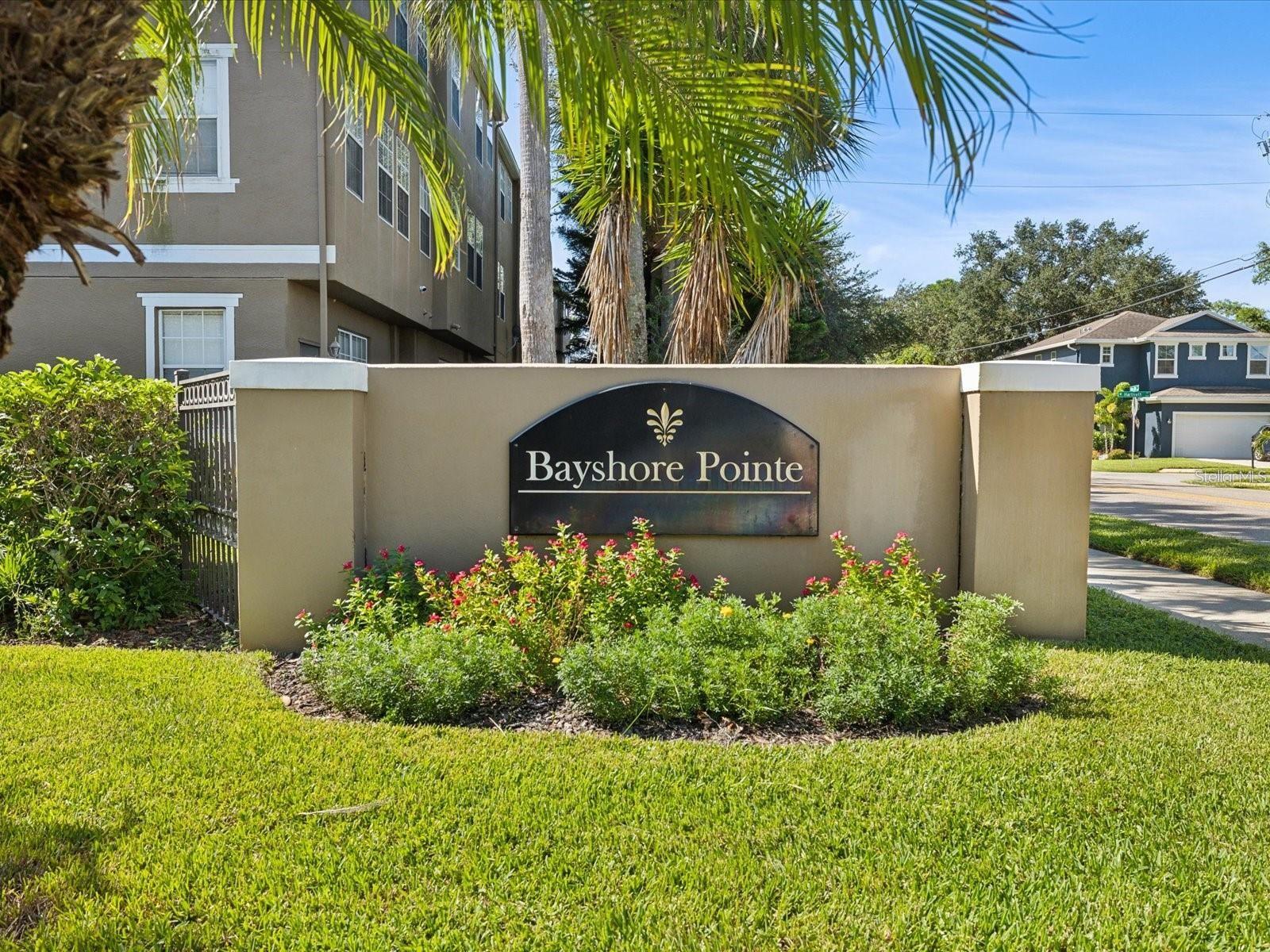 3005 BAYSHORE POINTE DR, TAMPA, FL, 33611