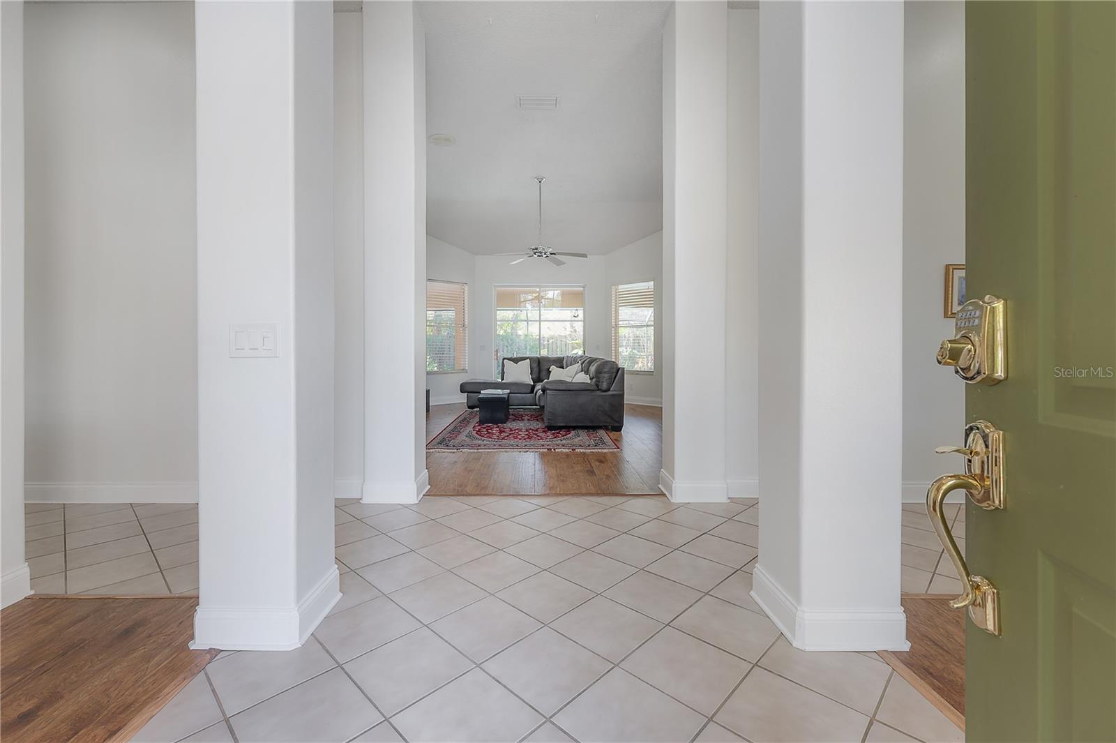 505 STRATFIELD DR, LUTZ, FL, 33549