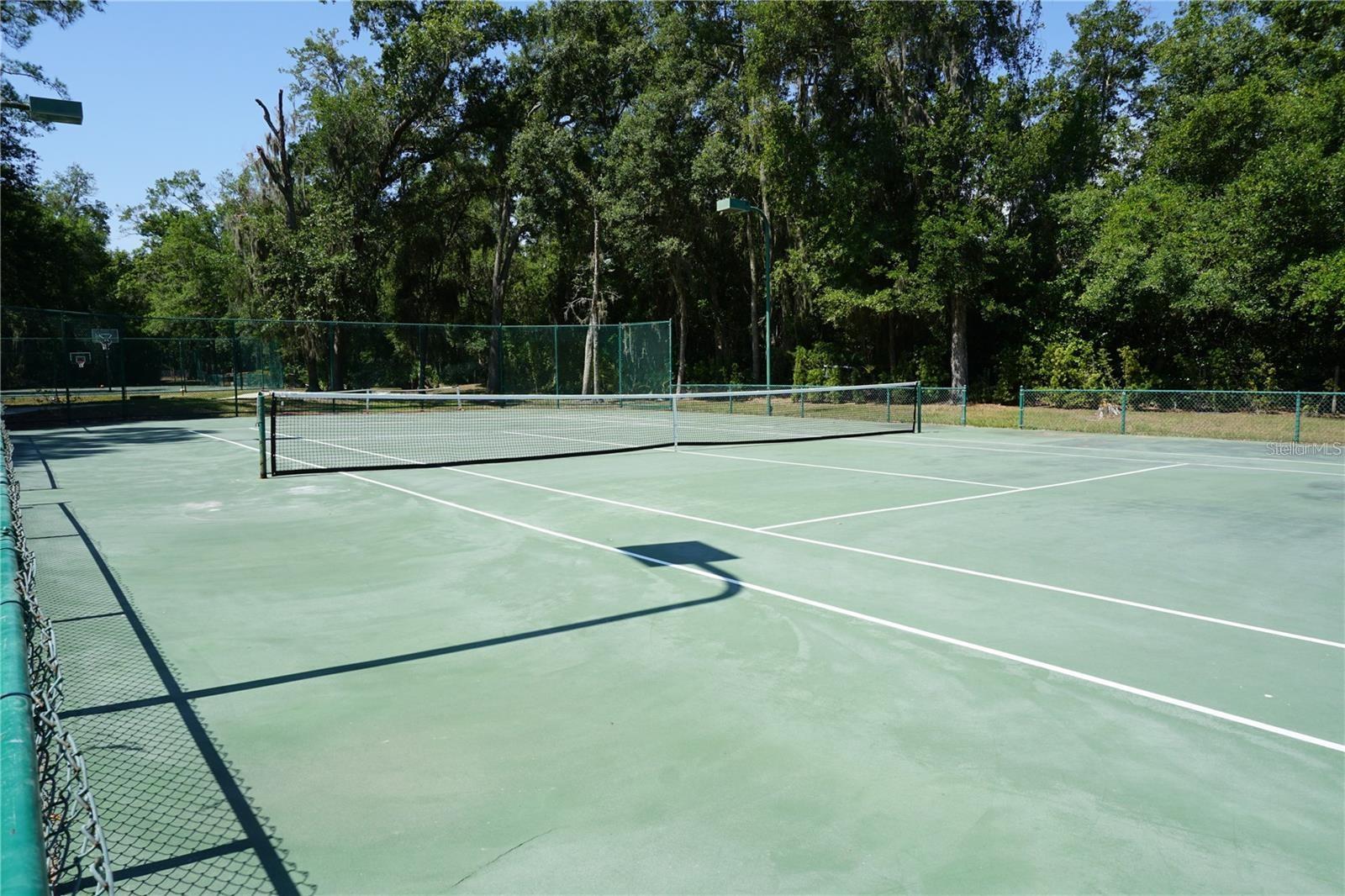 505 STRATFIELD DR, LUTZ, FL, 33549