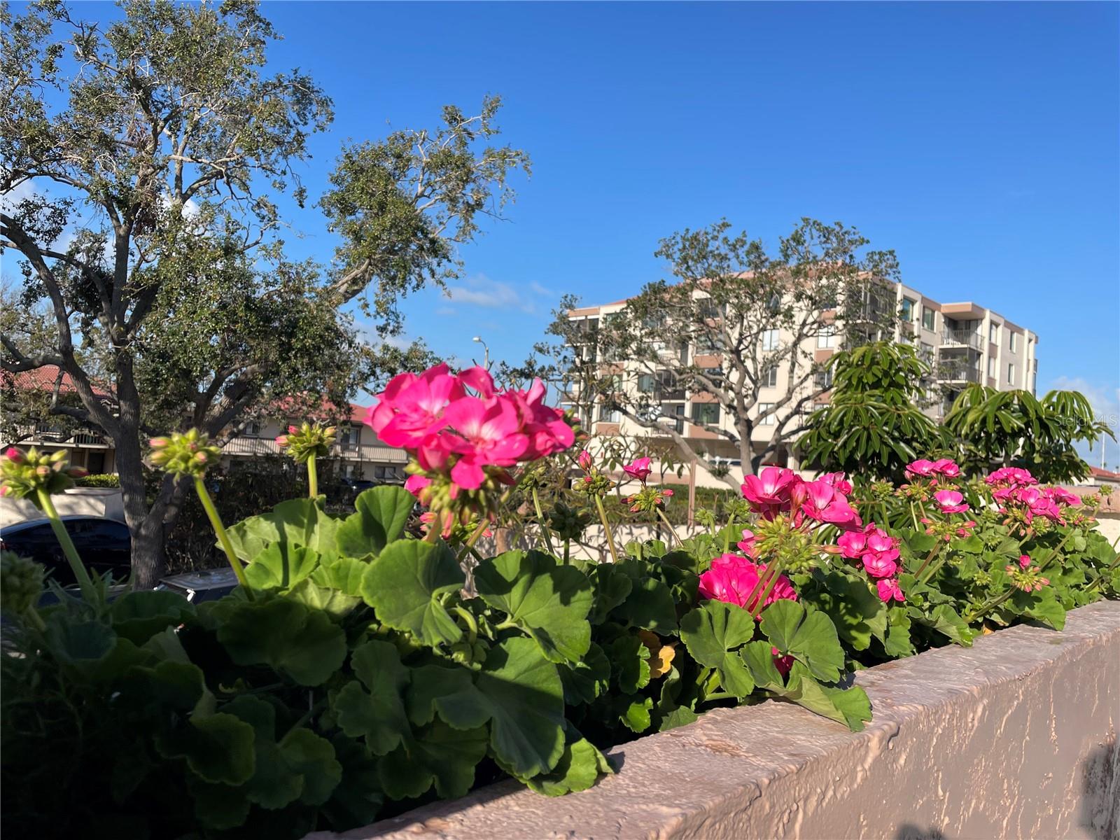6269 PALMA DEL MAR BLVD S #308, ST PETERSBURG, FL, 33715