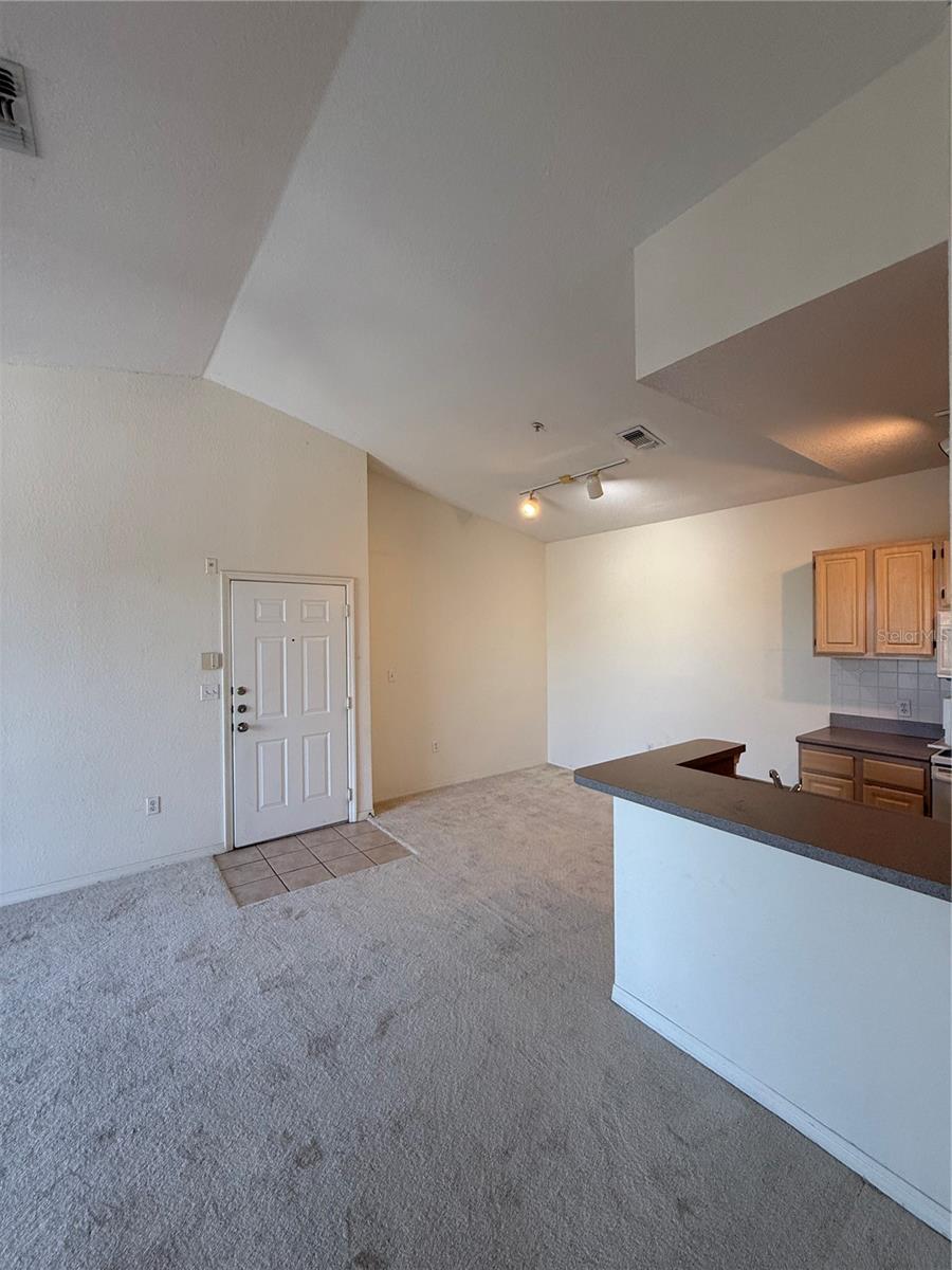 5823 LEGACY CRESCENT PL #301, RIVERVIEW, FL, 33578