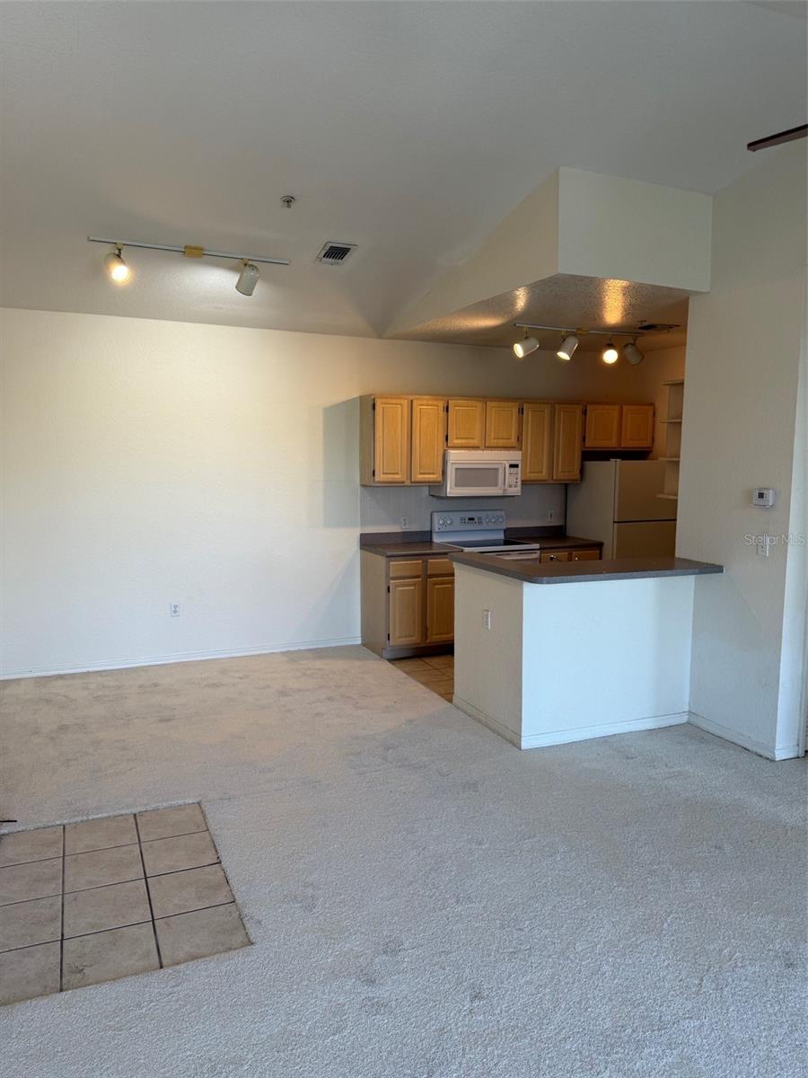 5823 LEGACY CRESCENT PL #301, RIVERVIEW, FL, 33578