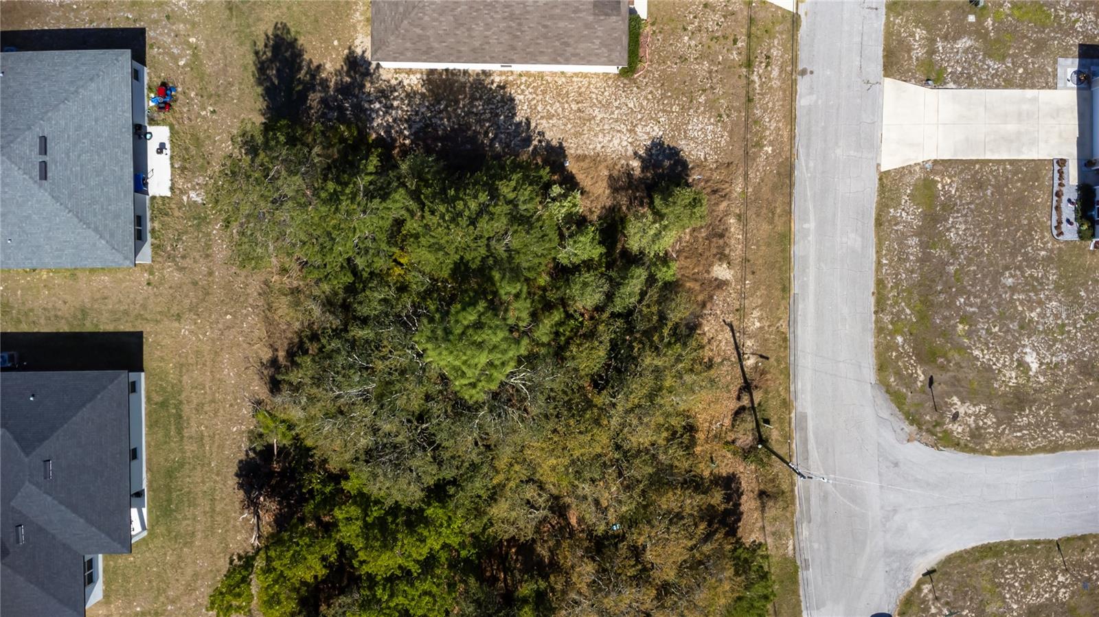 220 BEGONIA PL, KISSIMMEE, FL, 34759