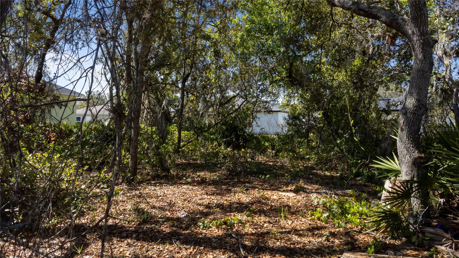 220 BEGONIA PL, KISSIMMEE, FL, 34759