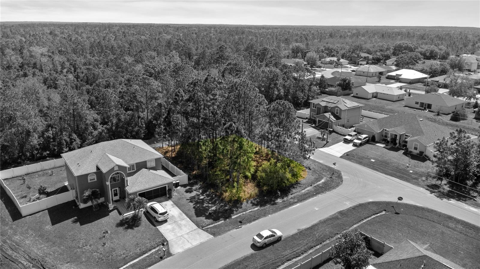 729 HAWK LN, KISSIMMEE, FL, 34759