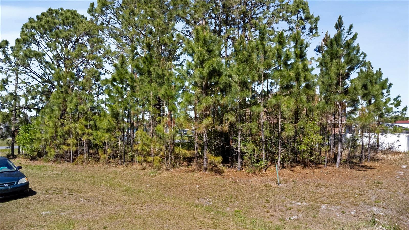 729 HAWK LN, KISSIMMEE, FL, 34759