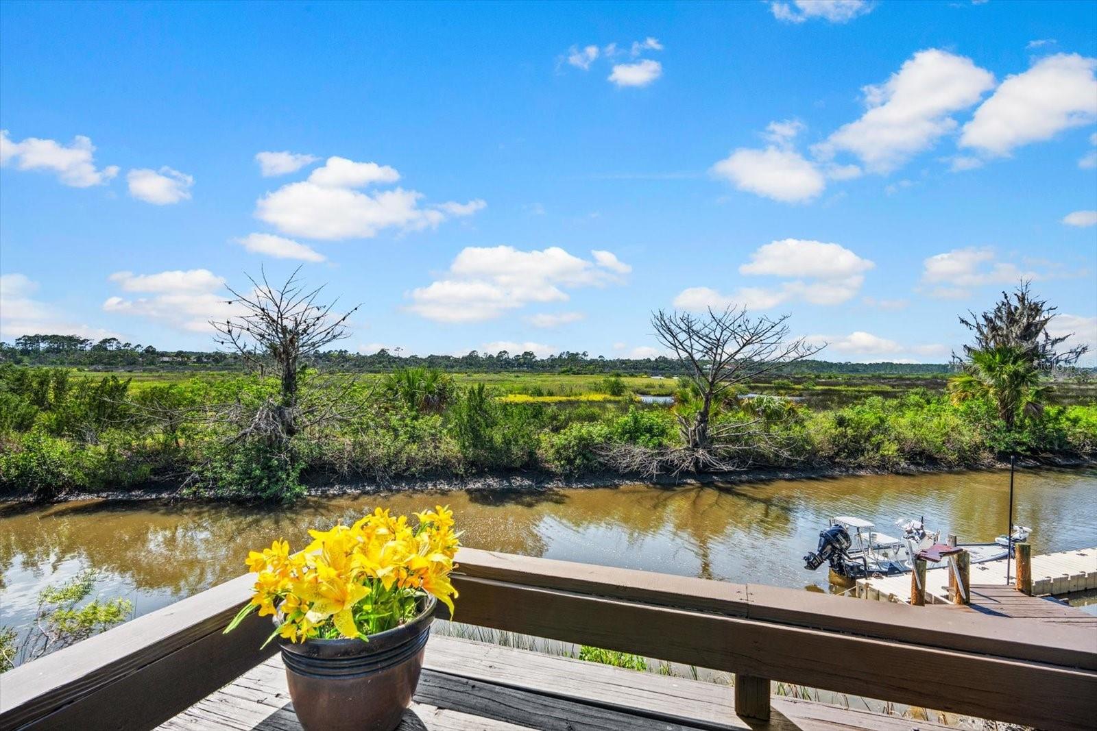 41 COCHISE CT, PALM COAST, FL, 32137