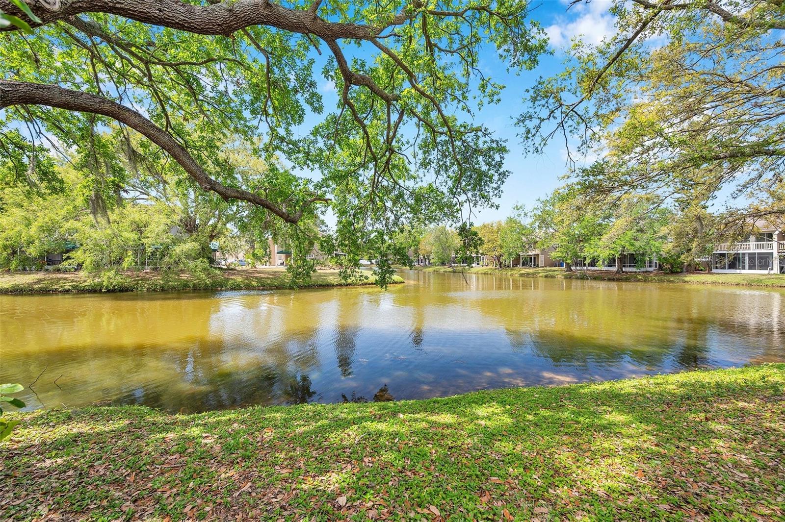 9046 LAKE PLACE LN #9046, TAMPA, FL, 33634