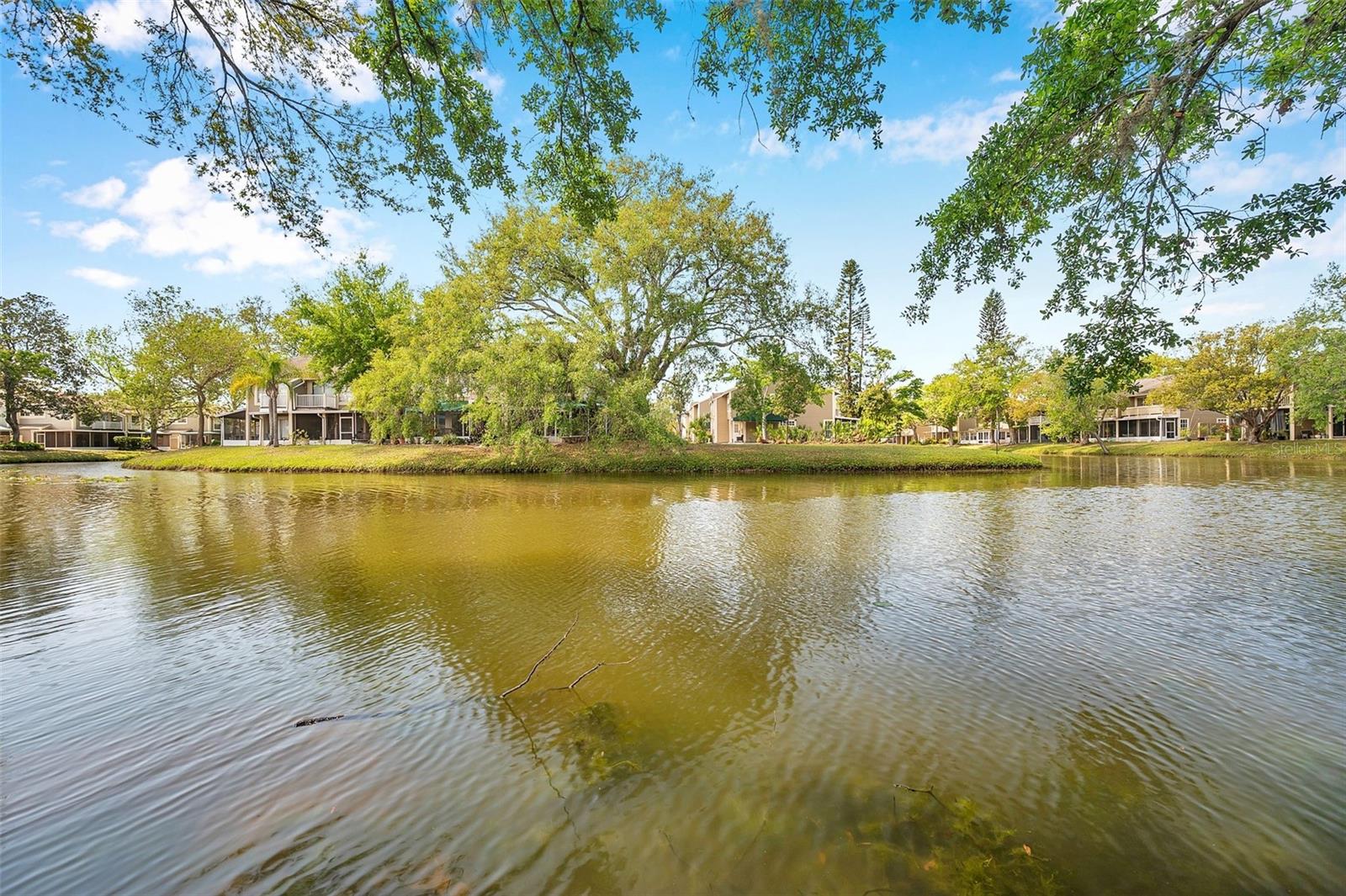 9046 LAKE PLACE LN #9046, TAMPA, FL, 33634
