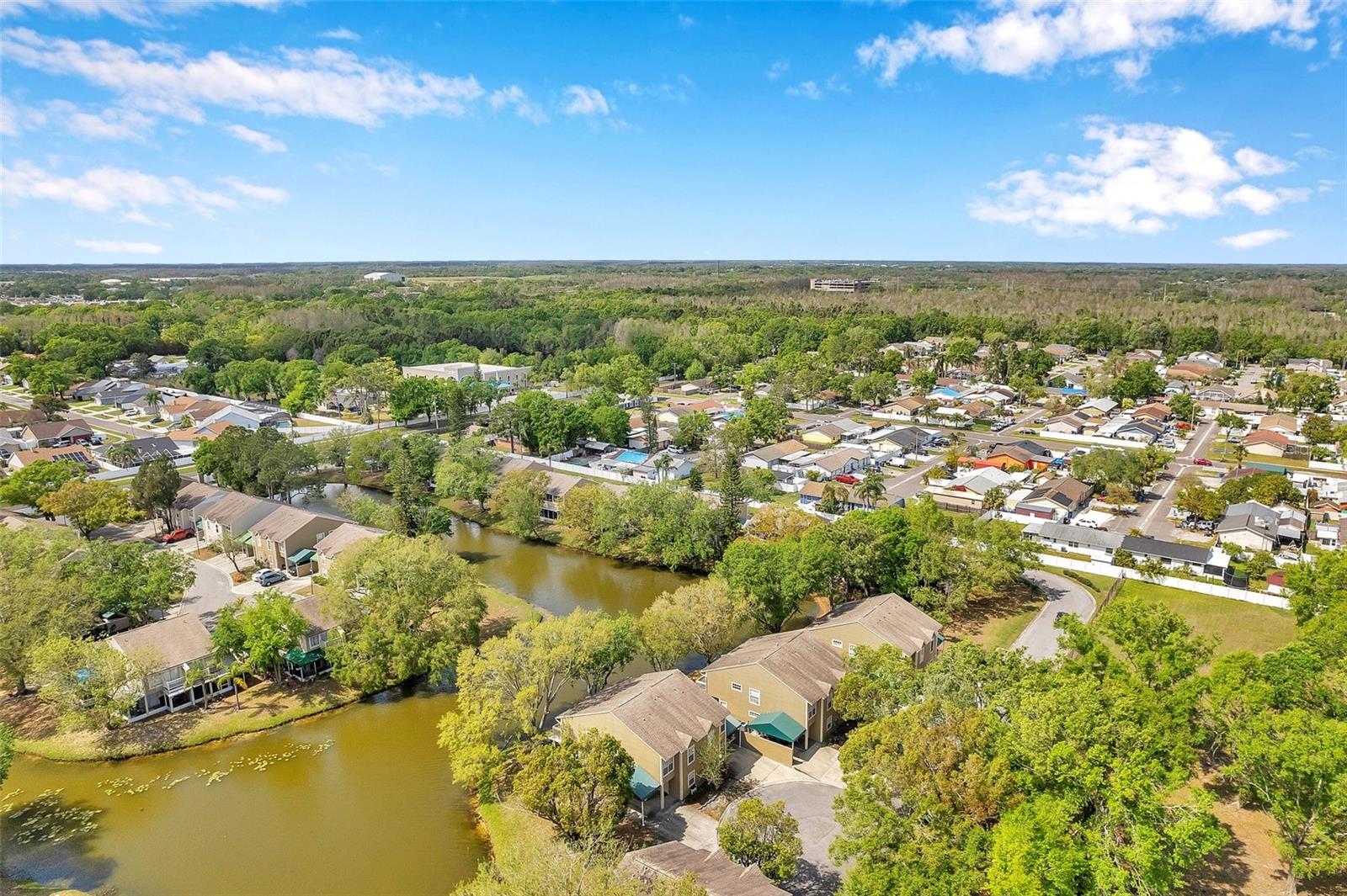 9046 LAKE PLACE LN #9046, TAMPA, FL, 33634