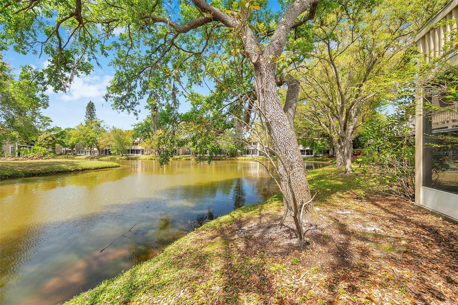 9046 LAKE PLACE LN #9046, TAMPA, FL, 33634