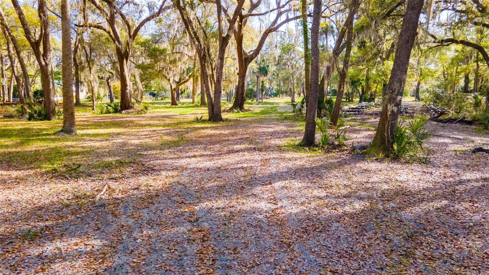 480 CLINTON CEMETERY RD, EDGEWATER, FL, 32141