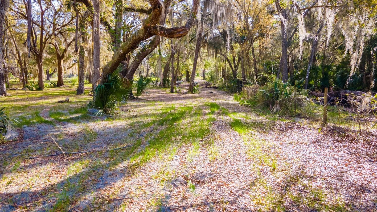480 CLINTON CEMETERY RD, EDGEWATER, FL, 32141