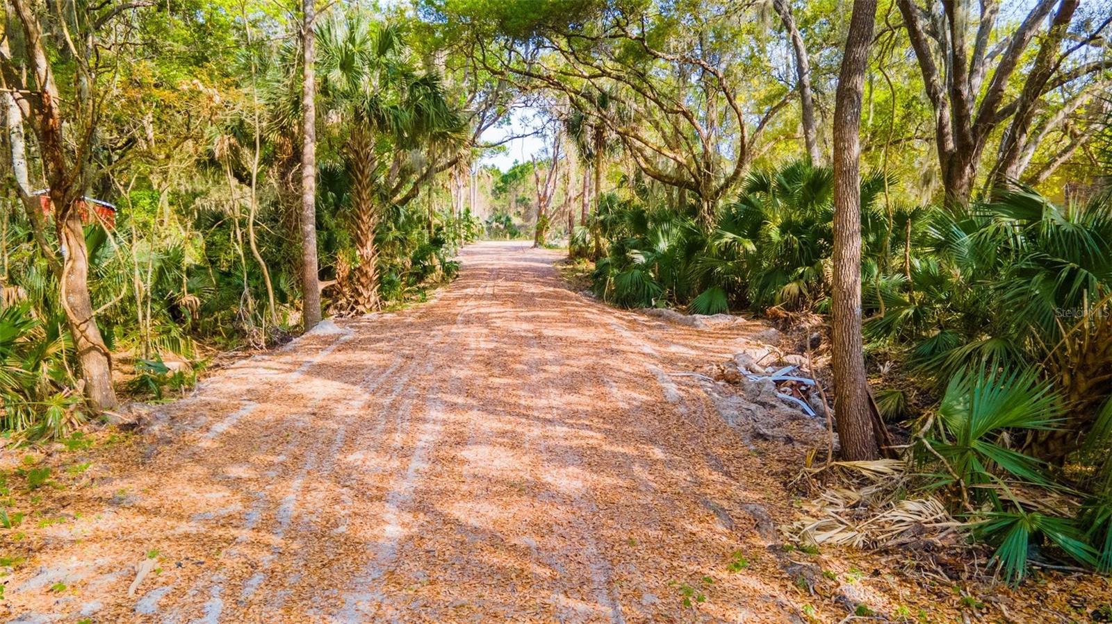 480 CLINTON CEMETERY RD, EDGEWATER, FL, 32141