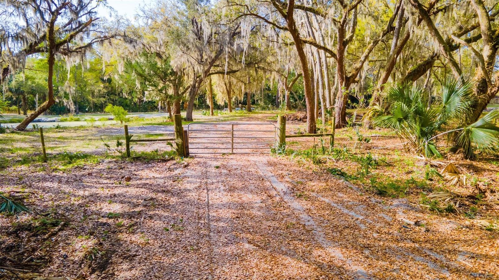 480 CLINTON CEMETERY RD, EDGEWATER, FL, 32141