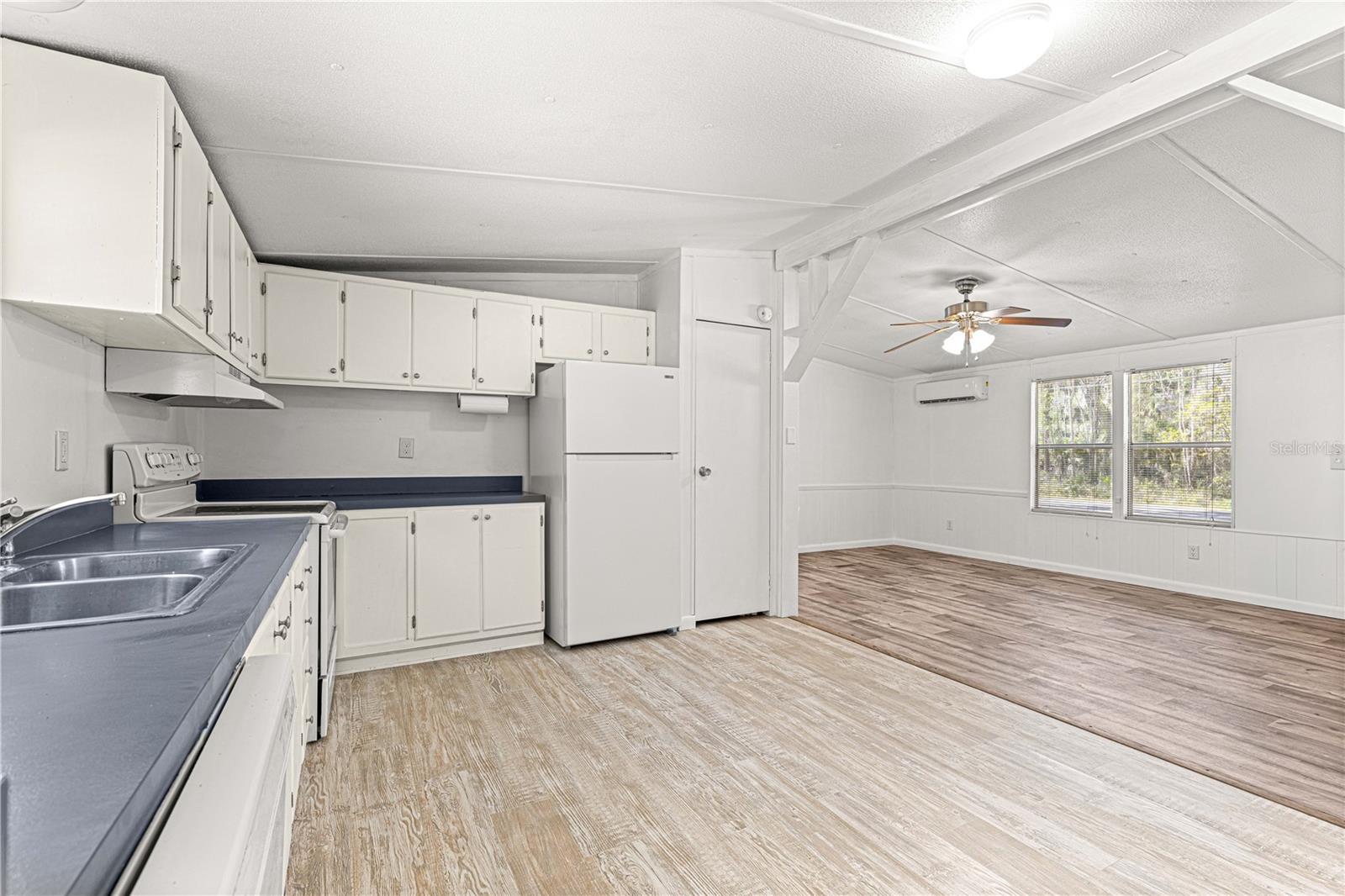 2298 CR 423, LAKE PANASOFFKEE, FL, 33538