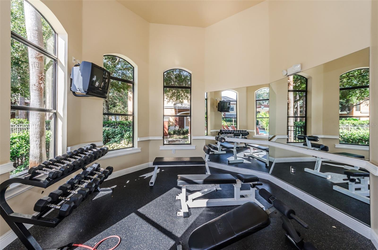 2141 PORTOFINO PL #2826, PALM HARBOR, FL, 34683