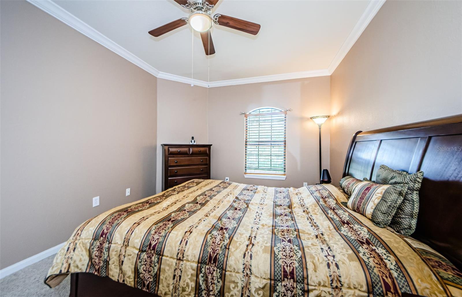 2141 PORTOFINO PL #2826, PALM HARBOR, FL, 34683