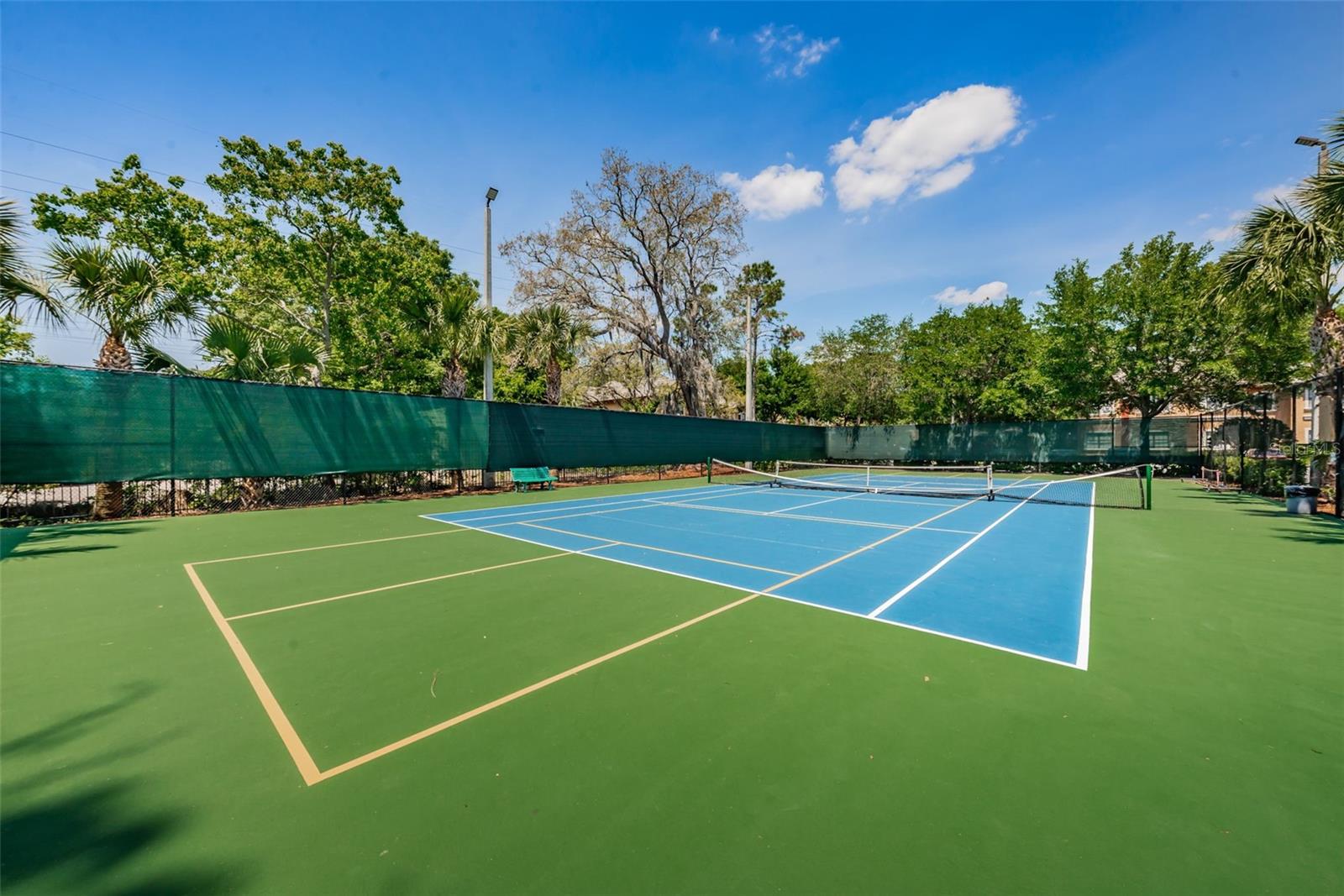 2141 PORTOFINO PL #2826, PALM HARBOR, FL, 34683