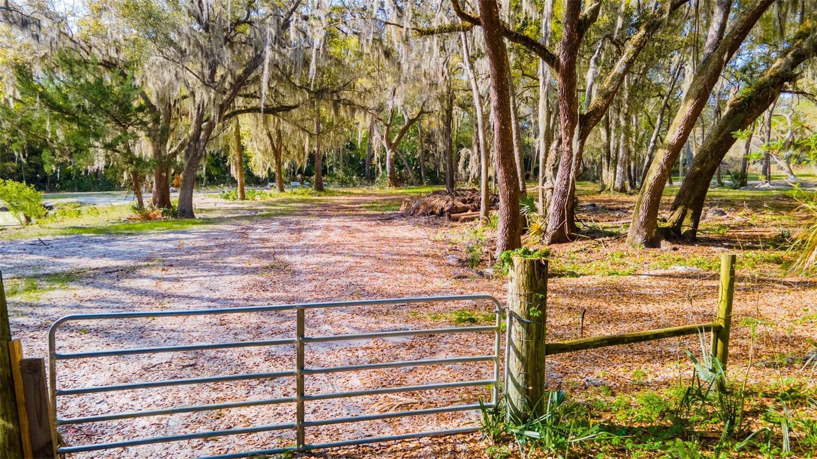 480 CLINTON CEMETERY RD, EDGEWATER, FL, 32141