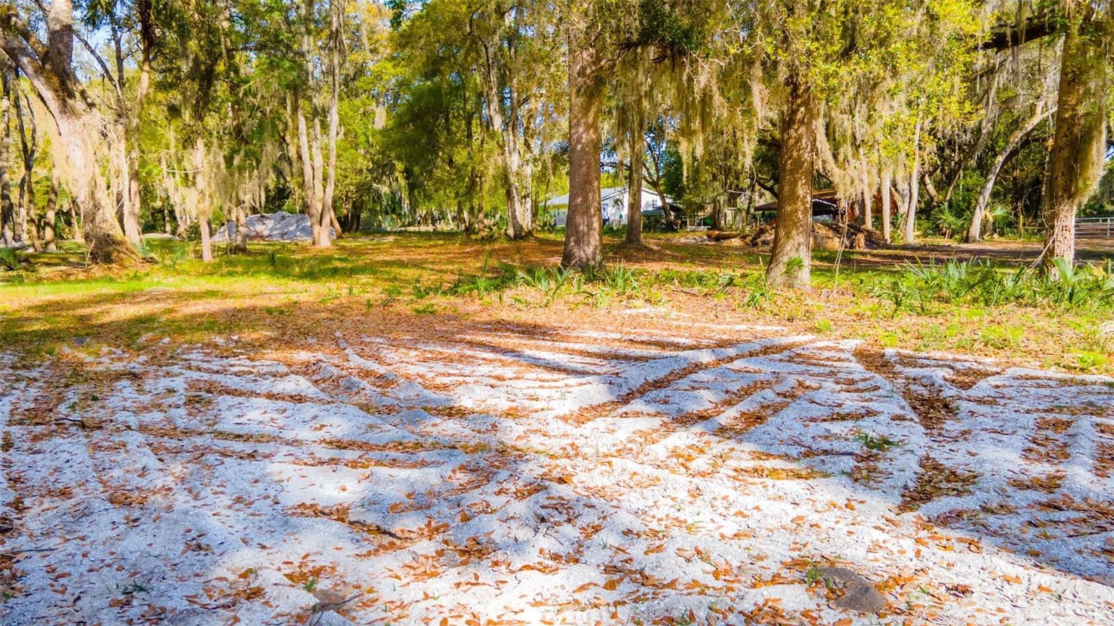 480 CLINTON CEMETERY RD, EDGEWATER, FL, 32141
