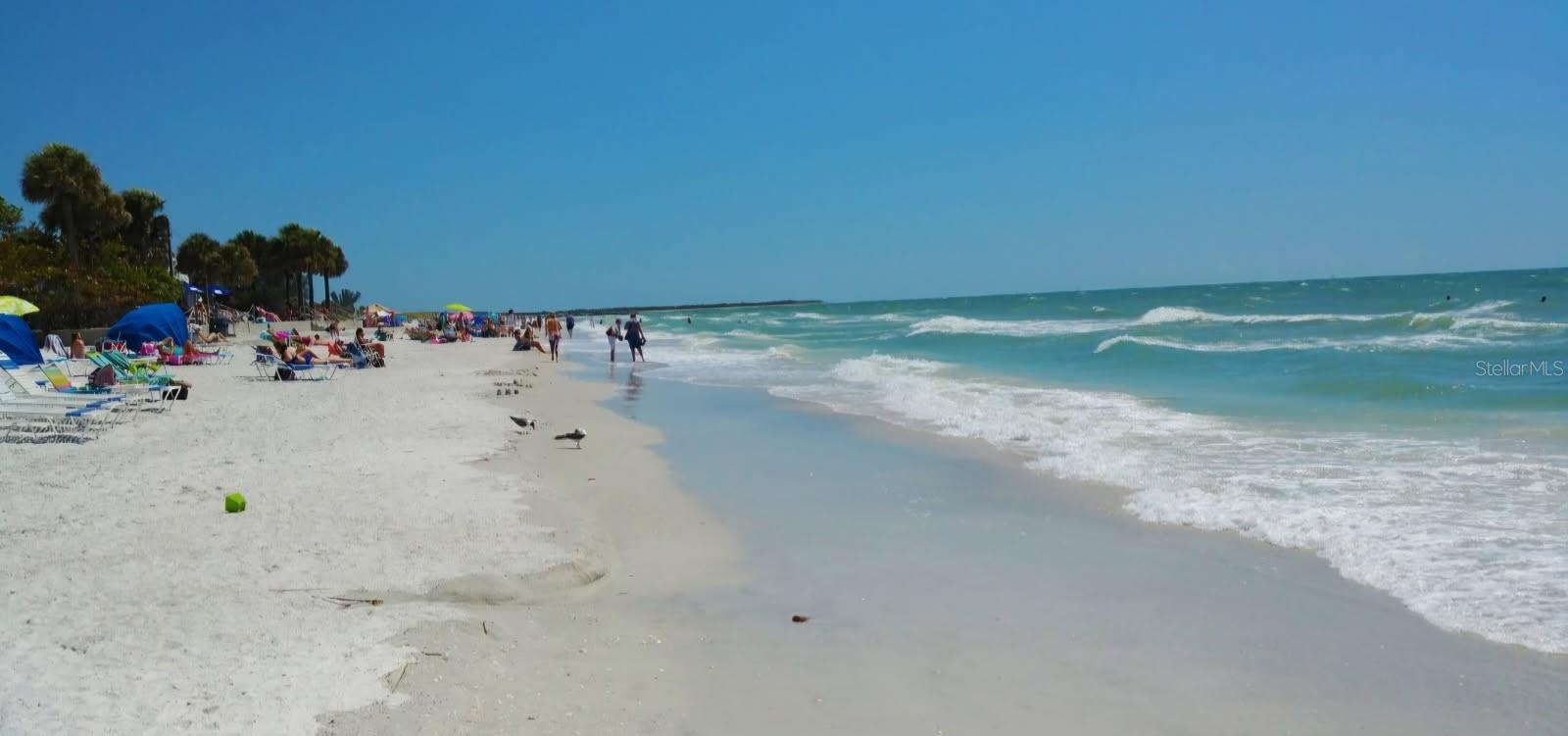 6265 SUN BLVD #806, ST PETERSBURG, FL, 33715