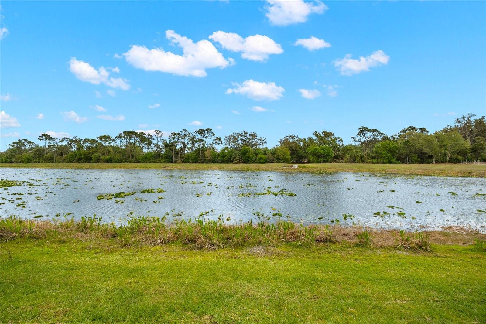 2259 MIDNIGHT PEARL DR, SARASOTA, FL, 34240