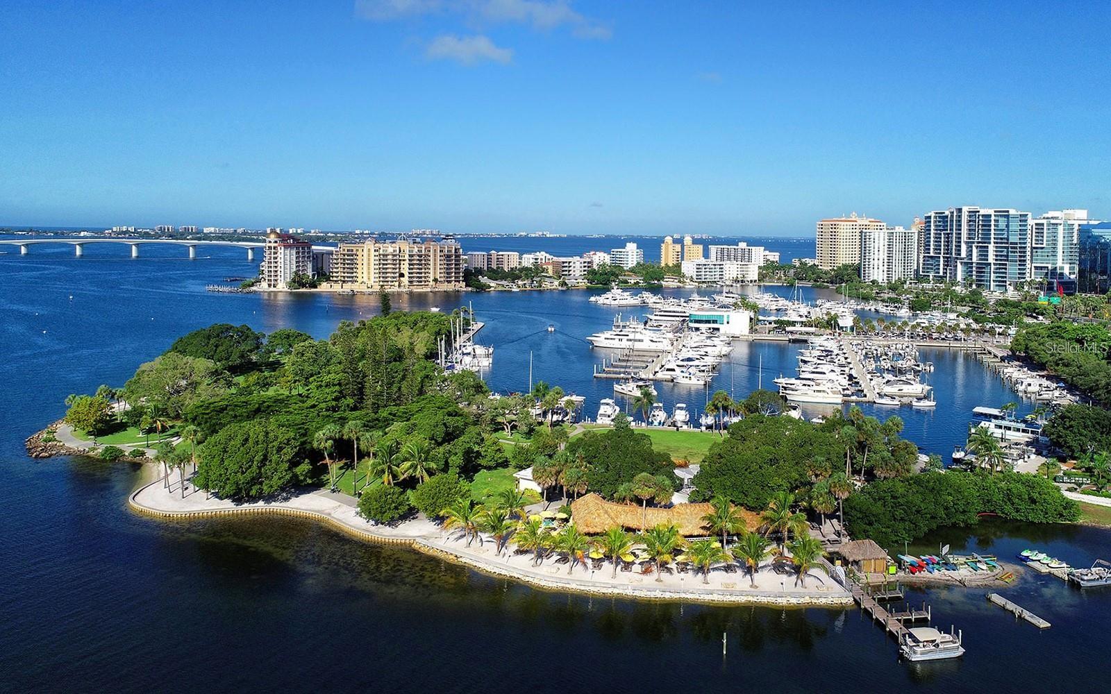 2259 MIDNIGHT PEARL DR, SARASOTA, FL, 34240