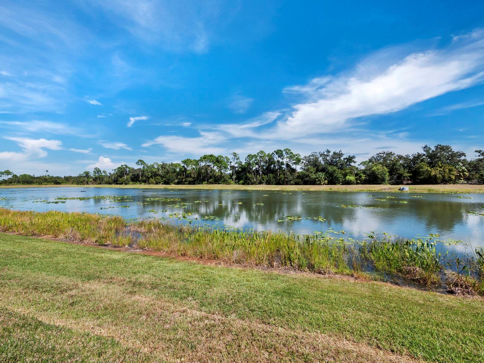 2259 MIDNIGHT PEARL DR, SARASOTA, FL, 34240