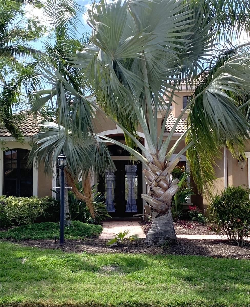 6828 HONEYSUCKLE TRL, LAKEWOOD RANCH, FL, 34202