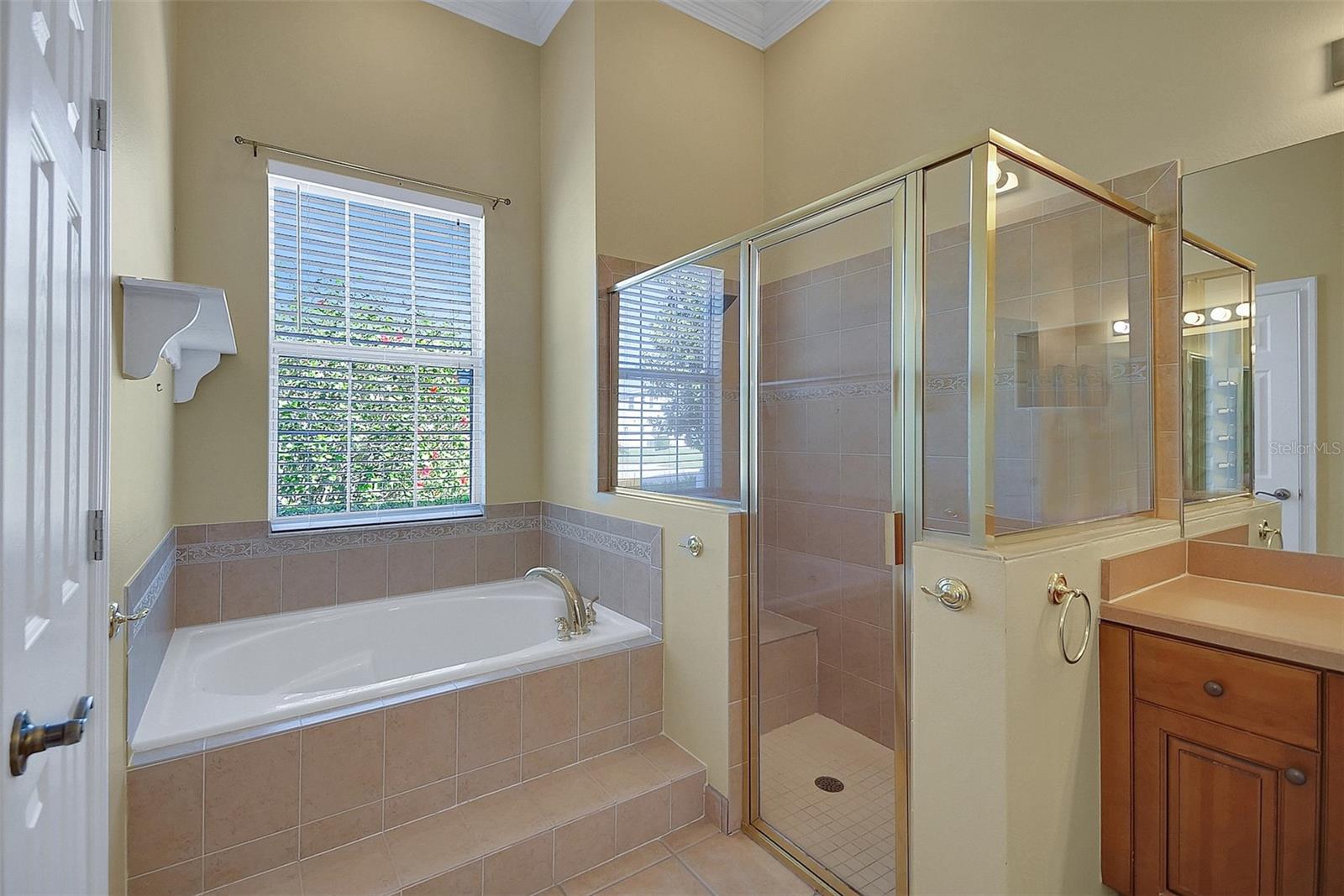 4536 BARRISTER DR, CLERMONT, FL, 34711