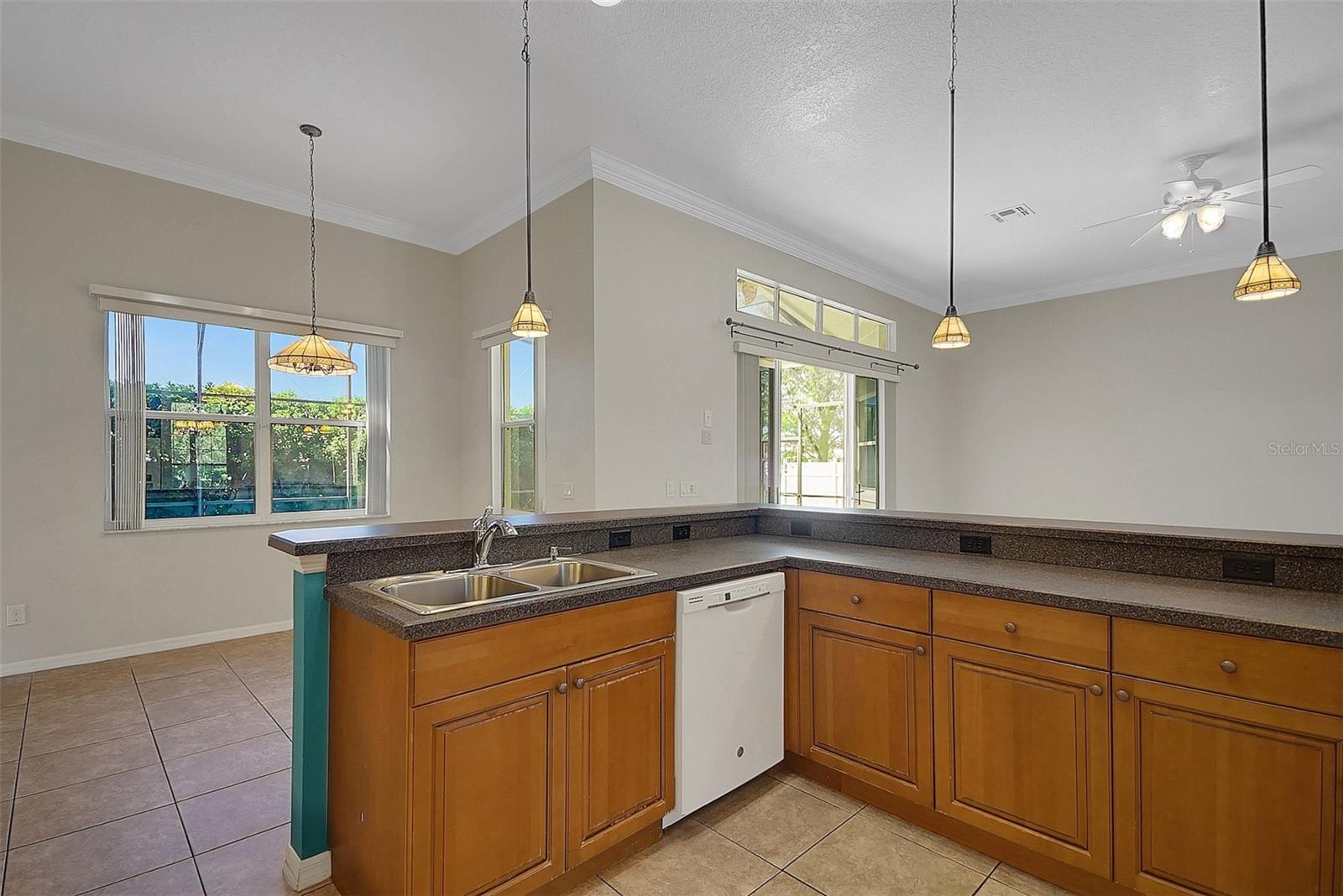 4536 BARRISTER DR, CLERMONT, FL, 34711
