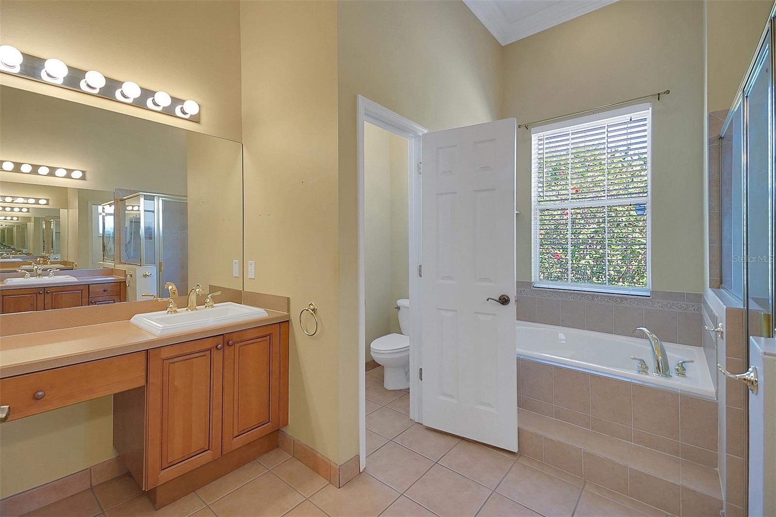 4536 BARRISTER DR, CLERMONT, FL, 34711