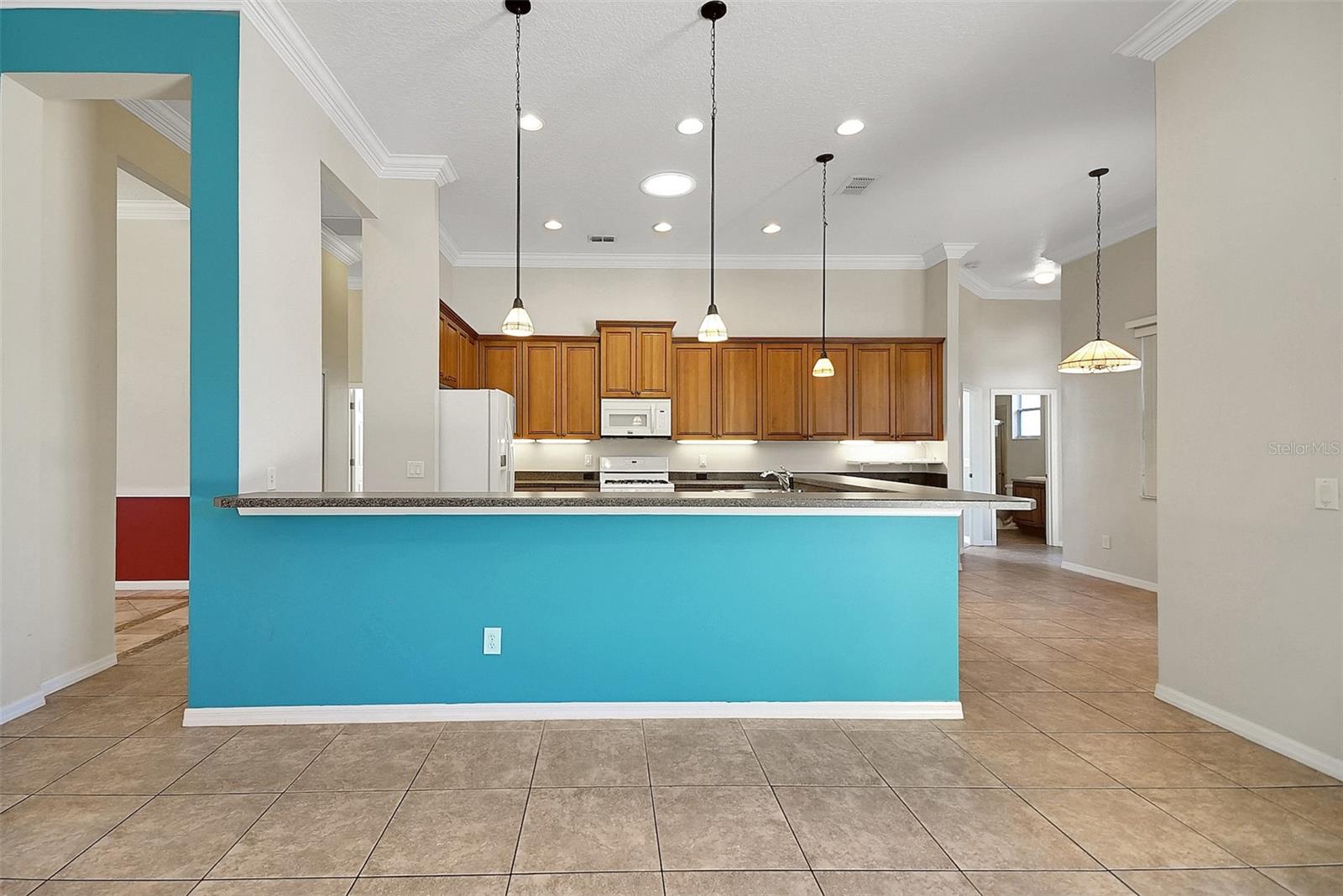 4536 BARRISTER DR, CLERMONT, FL, 34711