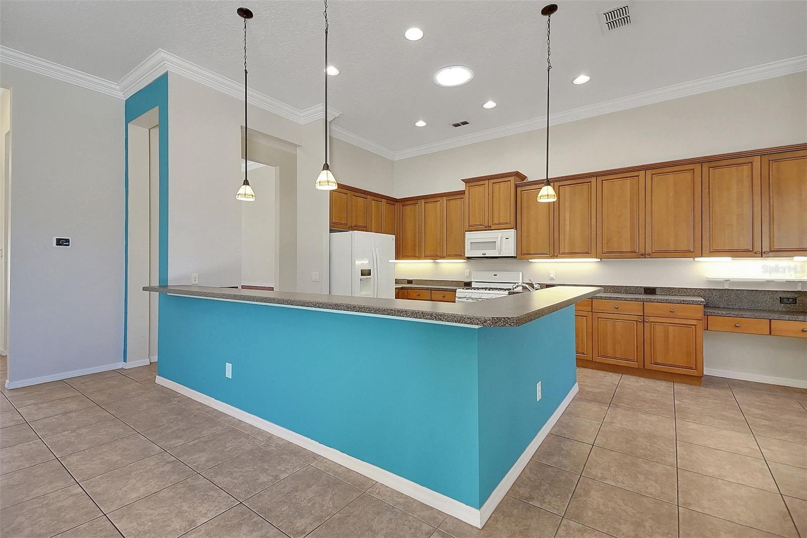 4536 BARRISTER DR, CLERMONT, FL, 34711
