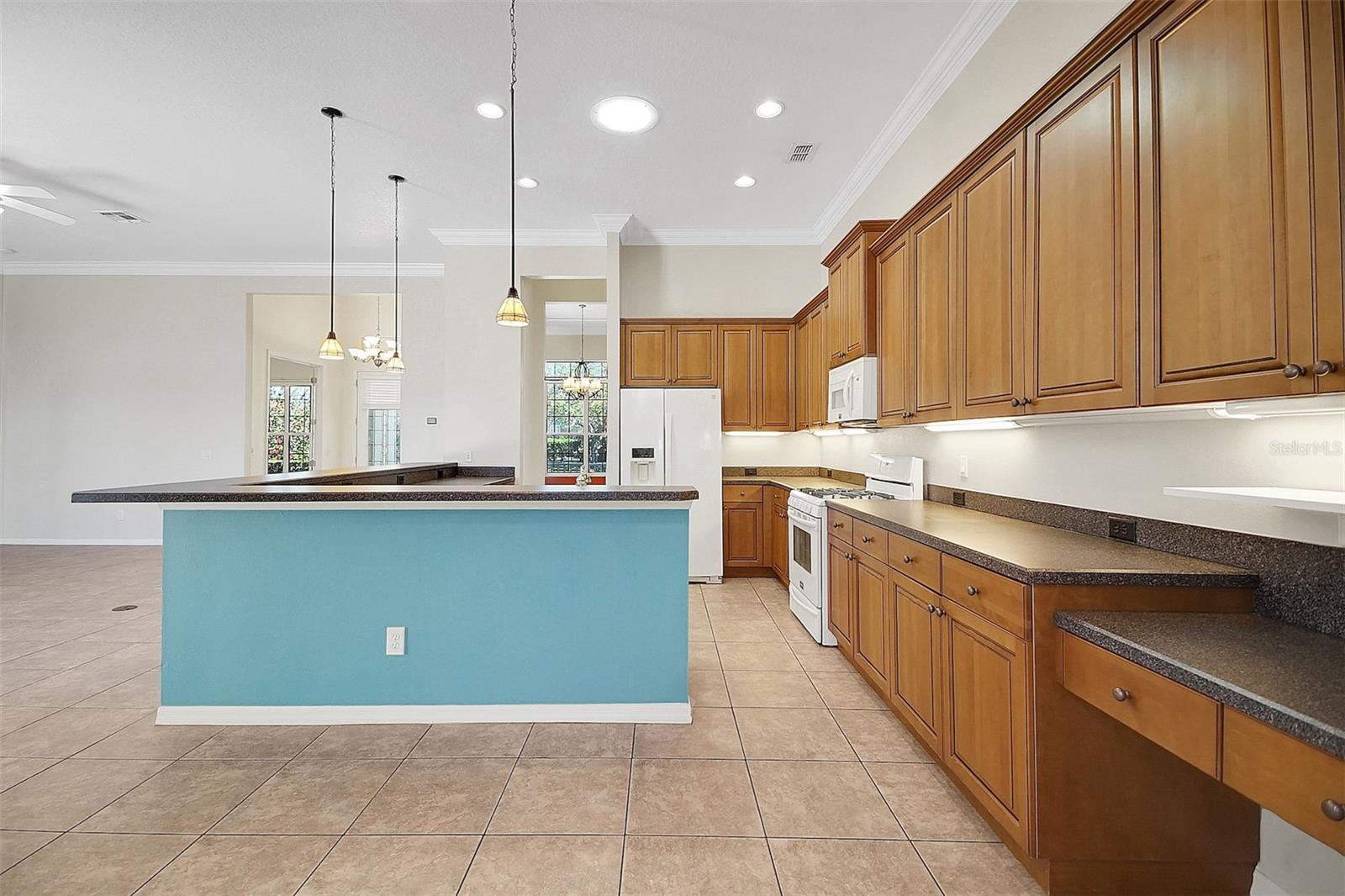 4536 BARRISTER DR, CLERMONT, FL, 34711