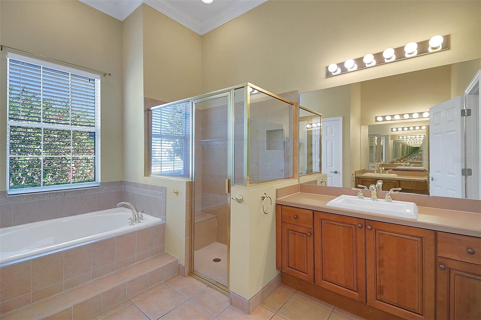 4536 BARRISTER DR, CLERMONT, FL, 34711