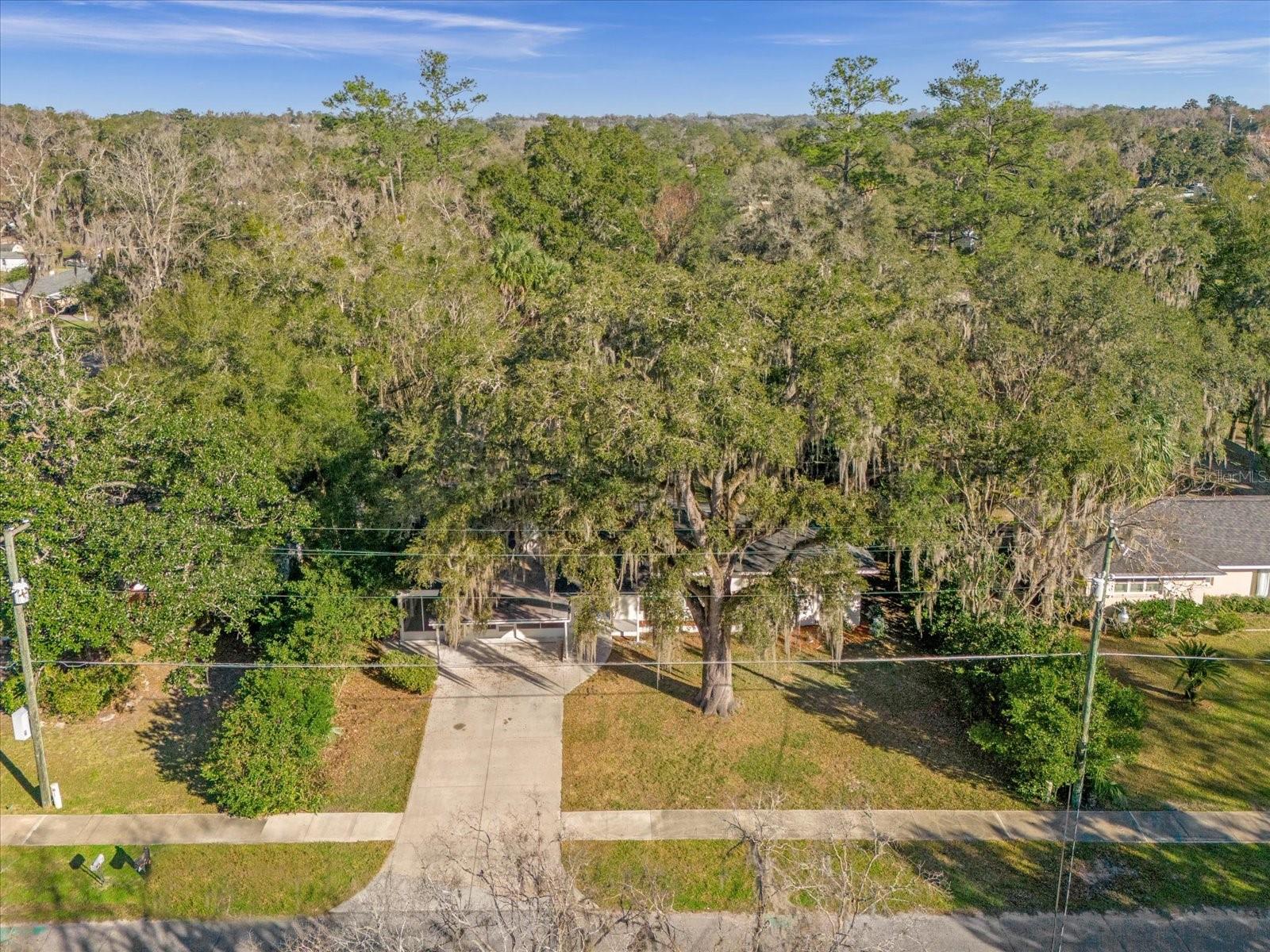 719 SE 24TH ST, OCALA, FL, 34471