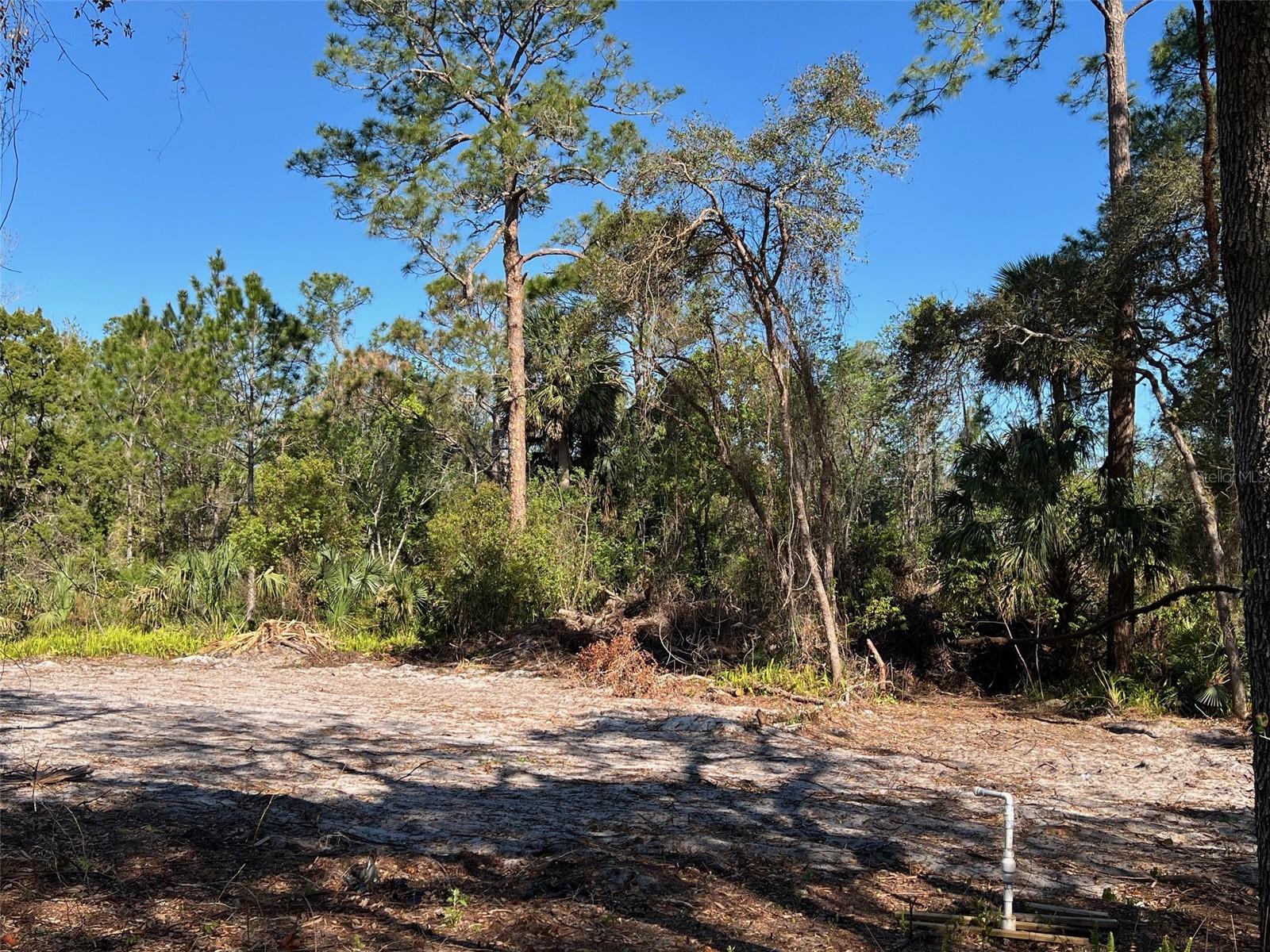 E 2ND AVE, DELAND, FL, 32720
