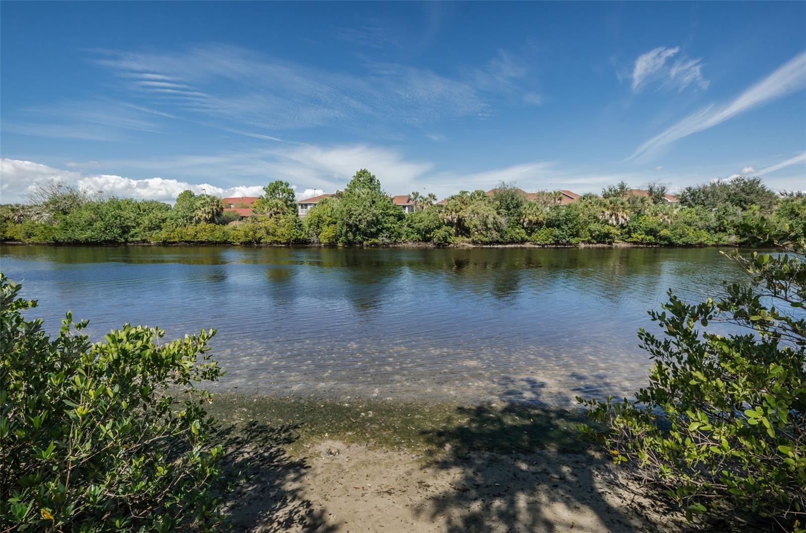 5807 CAY COVE CT, TAMPA, FL, 33615