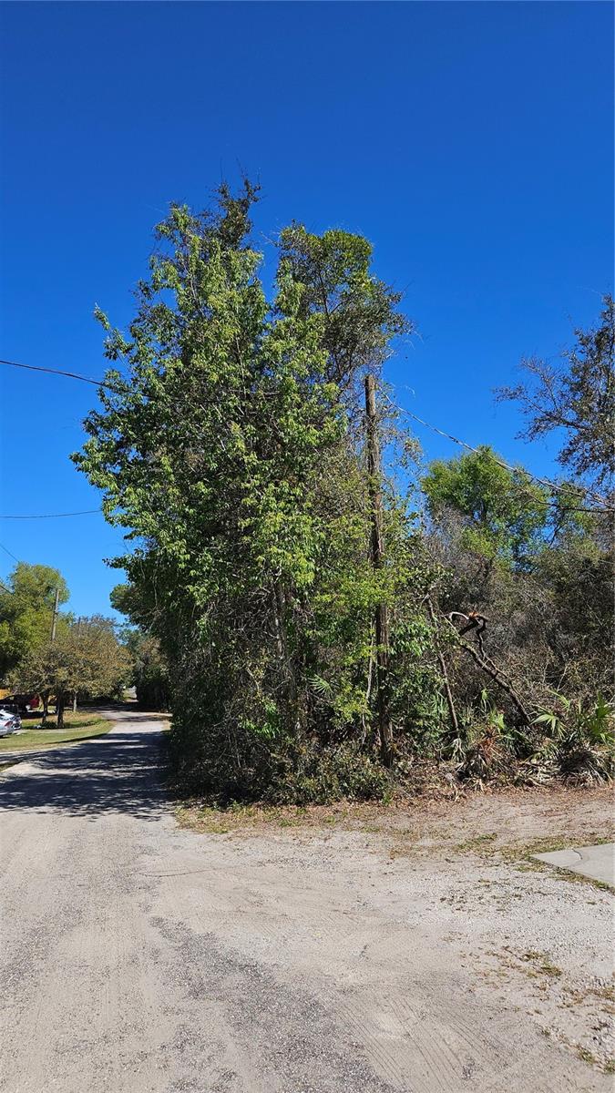 CHARLES AVE, ORANGE CITY, FL, 32763