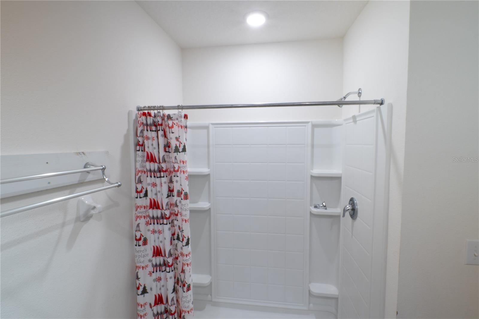 11517 KOTI CREEK LN, THONOTOSASSA, FL, 33592