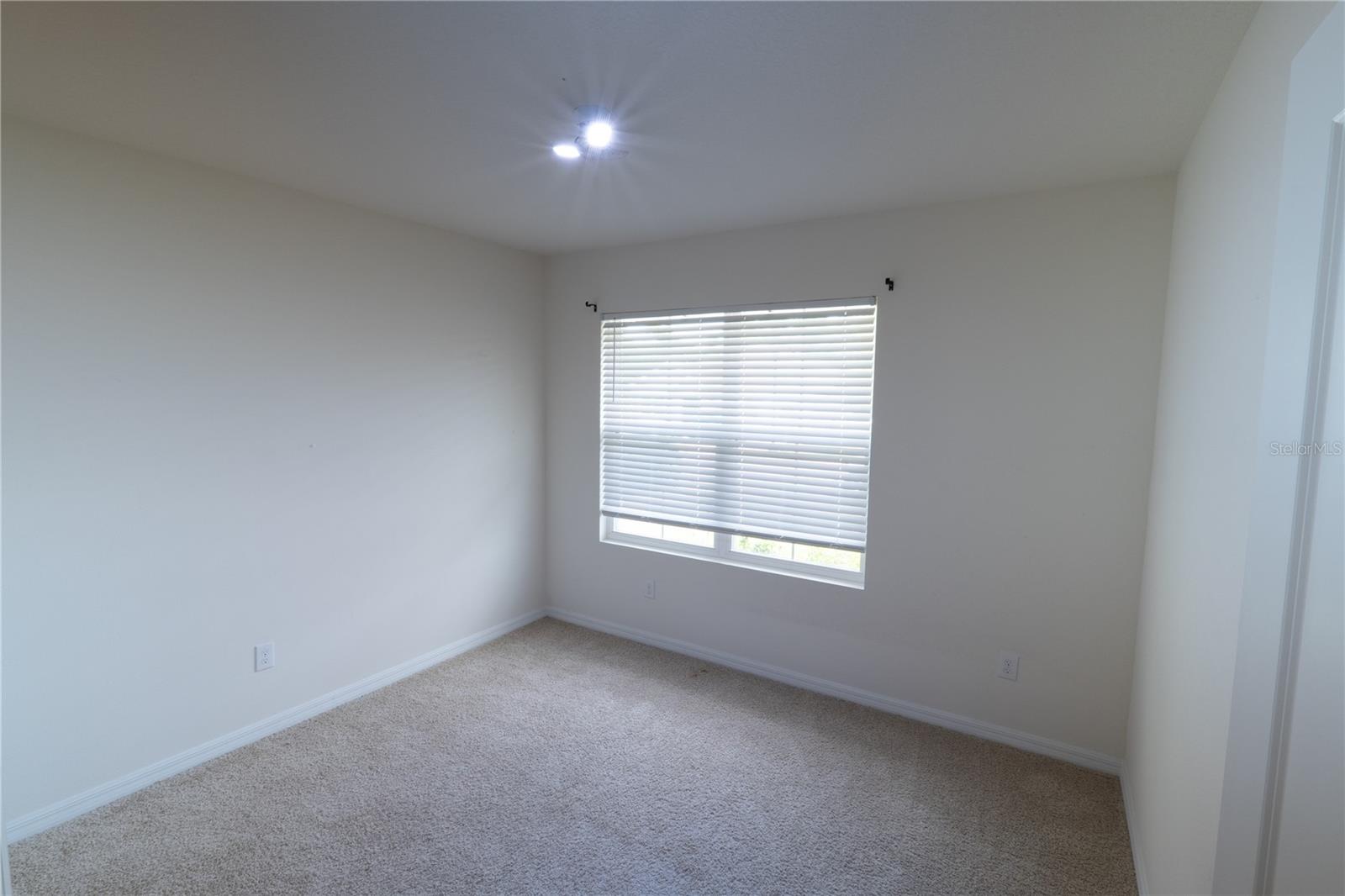 11517 KOTI CREEK LN, THONOTOSASSA, FL, 33592