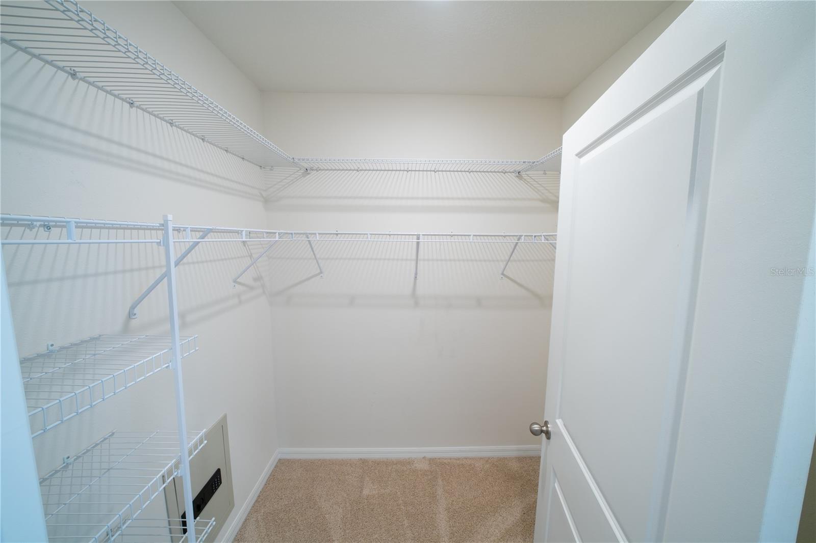 11517 KOTI CREEK LN, THONOTOSASSA, FL, 33592